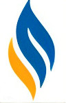 Paniz Company Logo
